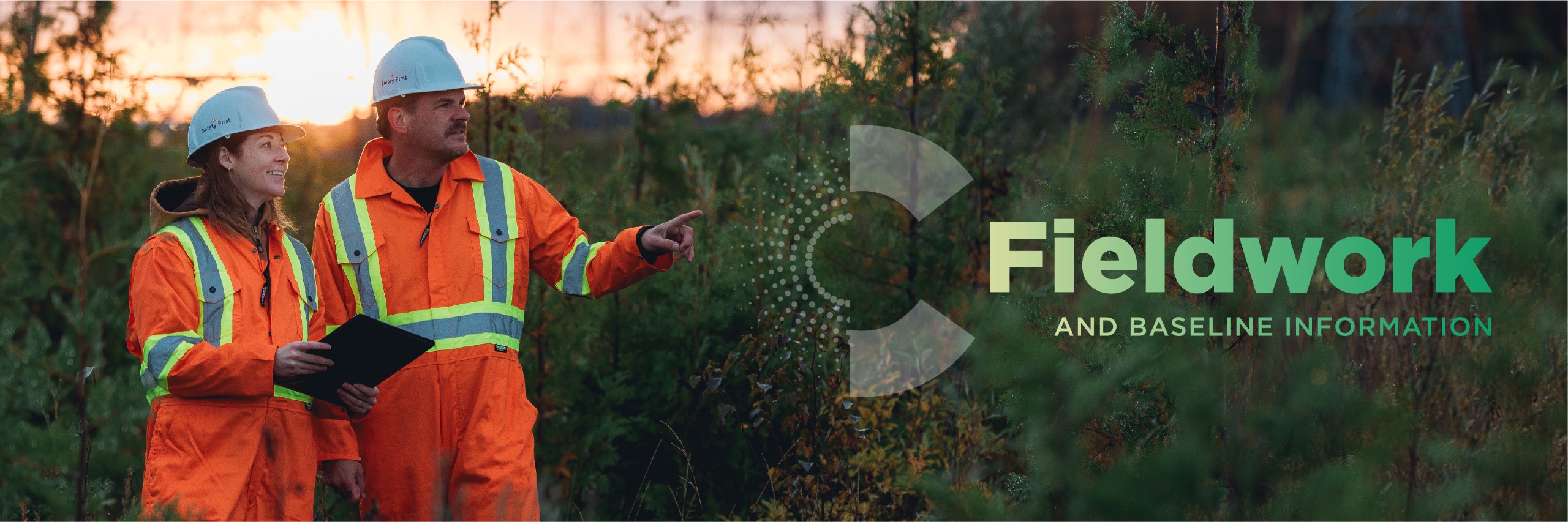 Fieldwork Banner