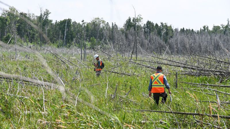 Wetland Assessment Image 2