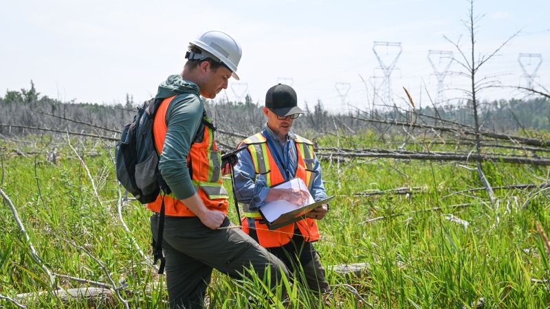 Wetland Assessment Image 1