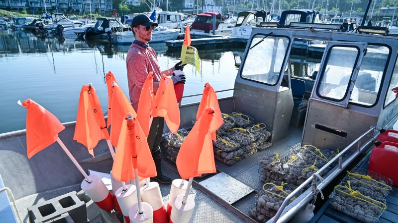 Benthic Survey Image 2